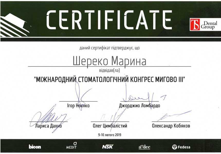 сертификат 9-10.02.2019 Шереко М.Е.